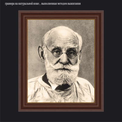 Великие учёные в области медицины и биологии: Иван Петрович Павлов ( 1849-1936 )