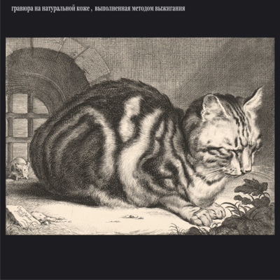 Большой домашний кот. Cornelis Visscher (II), 1638-1658