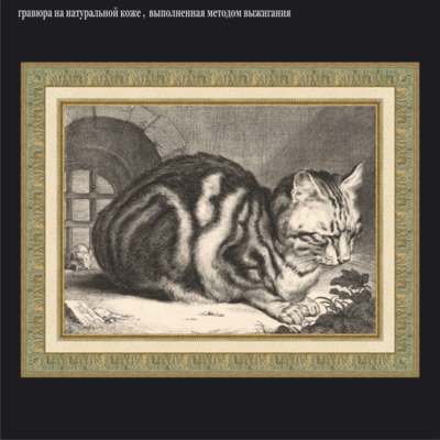 Большой домашний кот. Cornelis Visscher (II). 1638-1658