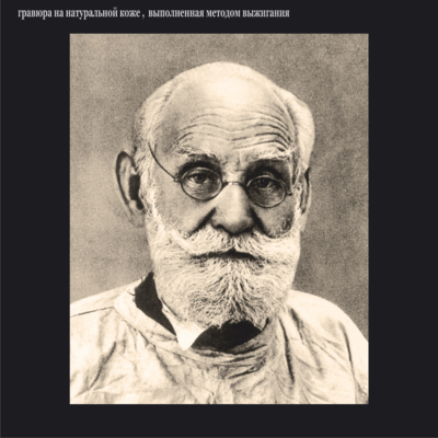 Великие учёные в области медицины и биологии: Иван Петрович Павлов ( 1849-1936 )